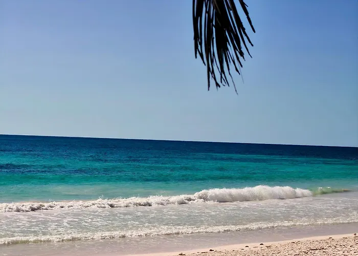 Azucar Tulum Pueblo