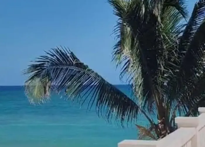 Azucar