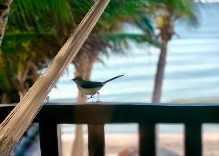 Hotel Azucar Tulum