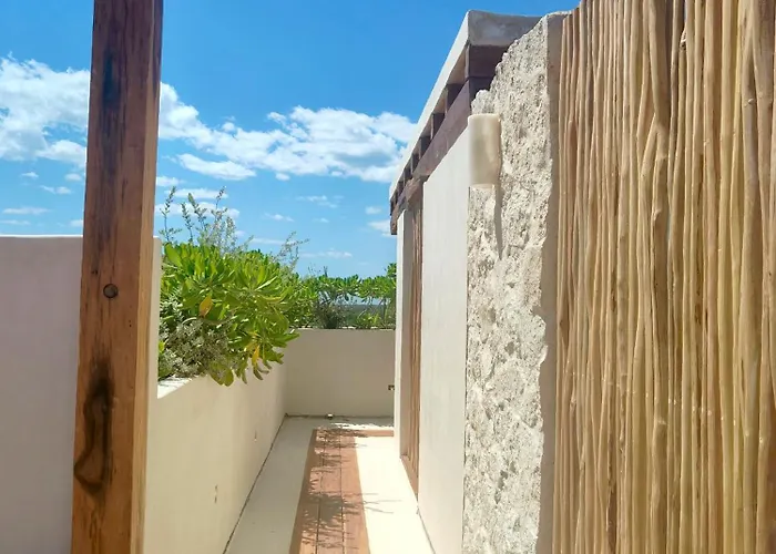Azucar