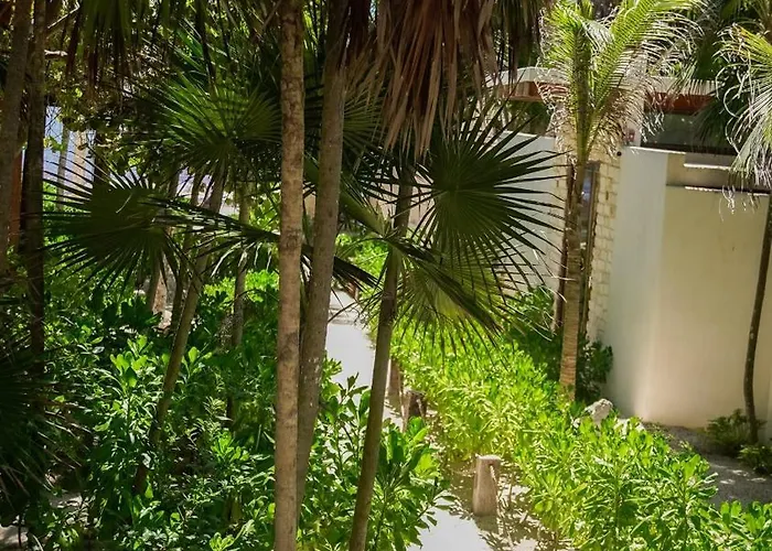 Hotel Azucar 3*
