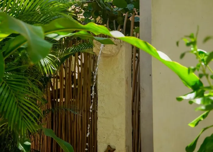 Azucar Tulum Pueblo