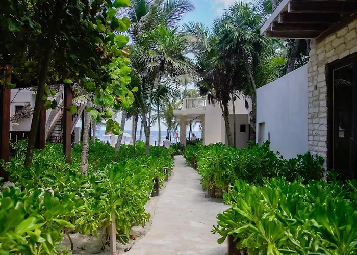 Azucar Tulum Pueblo