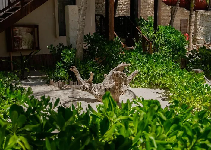 Hotel Azucar